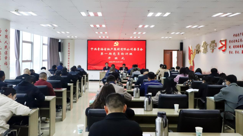 鑄魂強基 聚力賦能&mdash;&mdash;集團黨委2024年第一期黨員輪訓(xùn)班圓滿結(jié)束